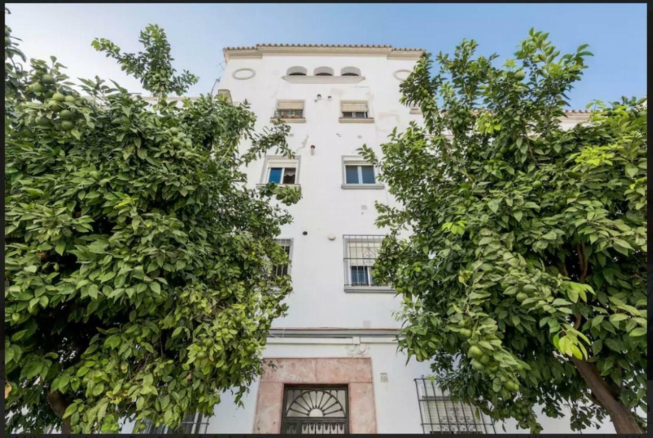 Apartamento Milagros Málaga Esterno foto